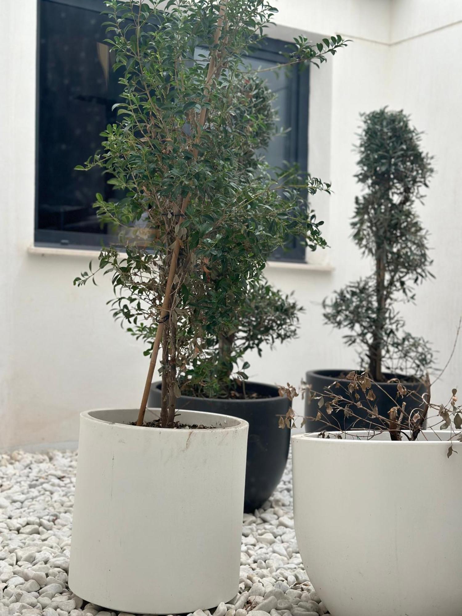 Hostel Alicante A-Cero Living Buitenkant foto